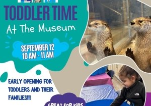 Toddler Time at the Museum
