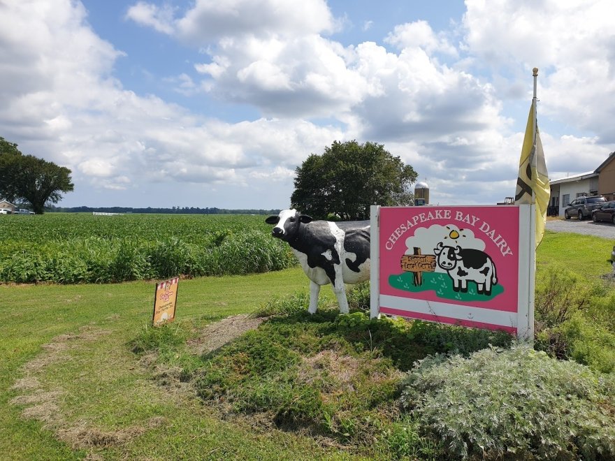 Chesapeake Bay Farms