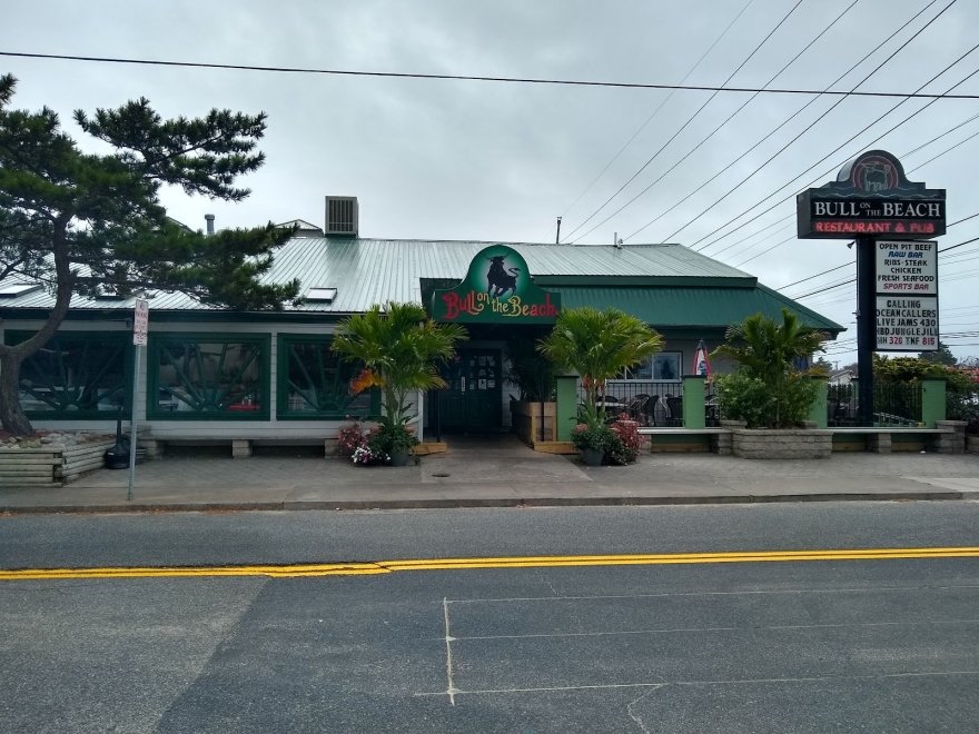 Bull on the Beach