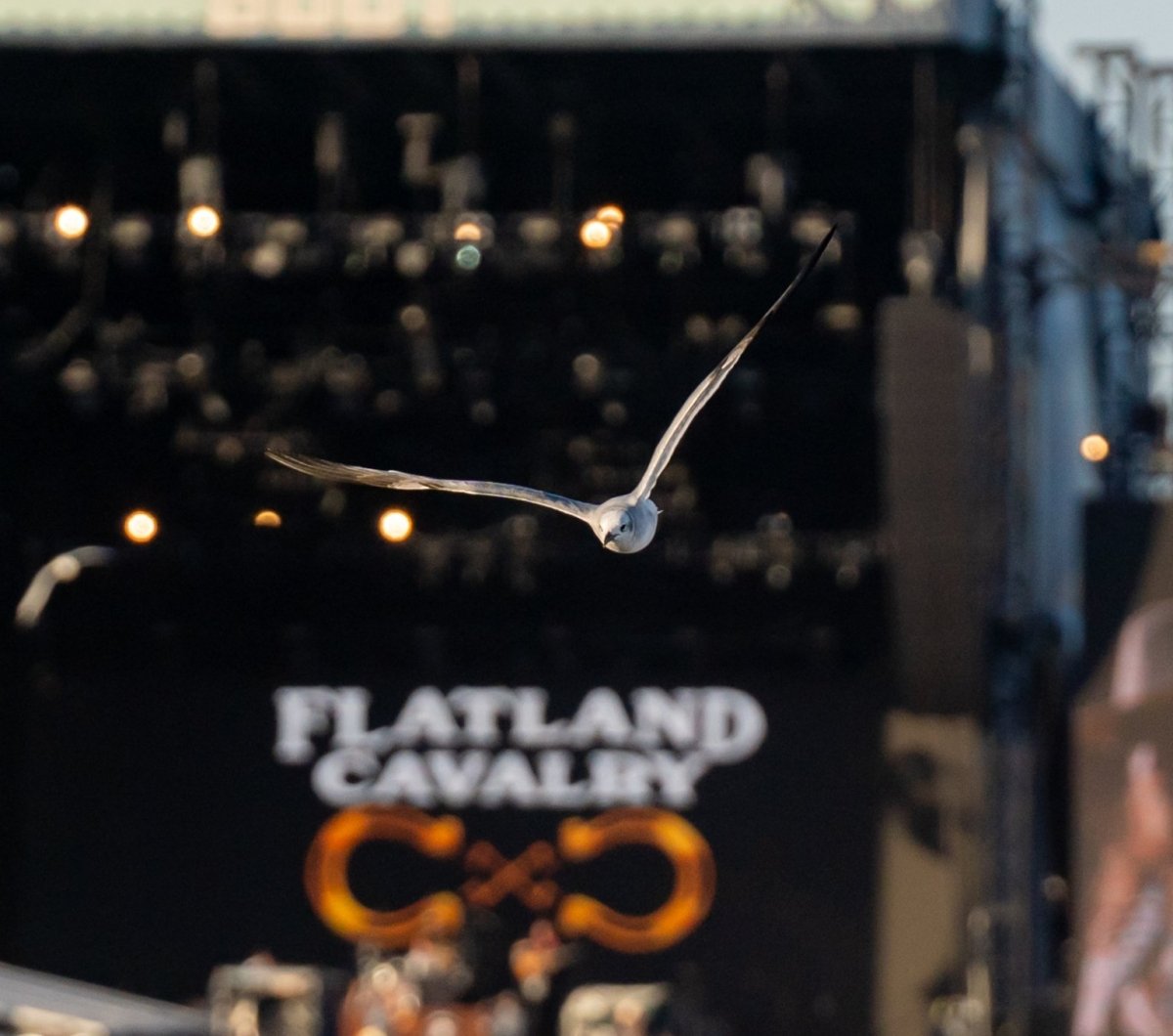 Flatland Calvary at Country Calling