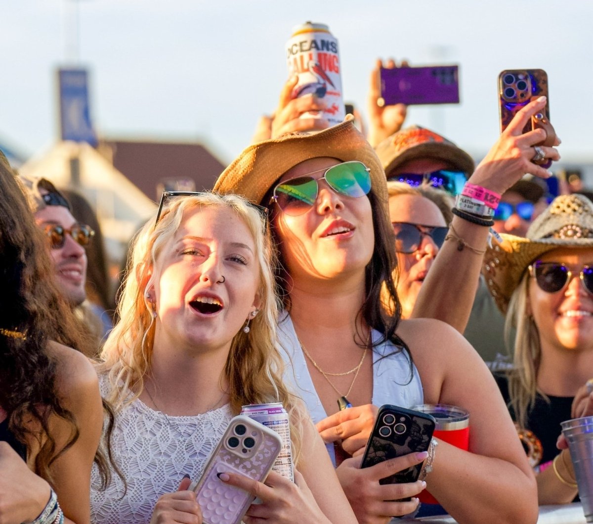Crowd at Country Calling