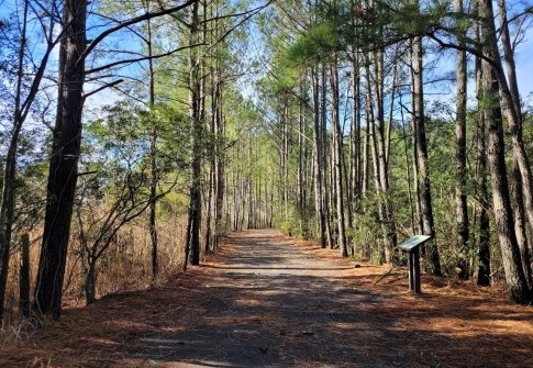 Best Winter Walks Near Ocean City, MD